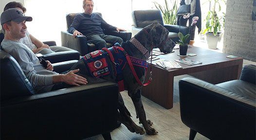 Castle-Hills-Waiting-Area